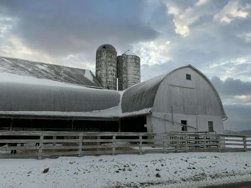 When the Words Wouldn't Come: How a Kentucky Farm Boy's Stutter Built America's Auction Empire