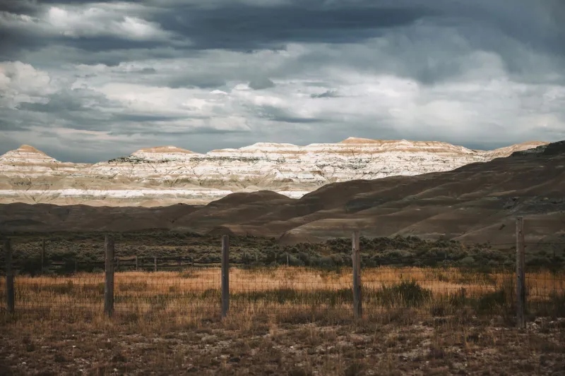 Lost on Purpose: The Runaway Who Learned to Read the West Like a Book
