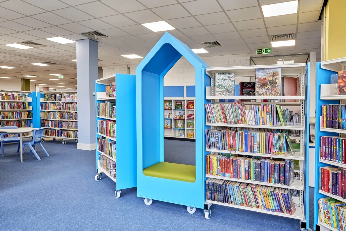 American public library system